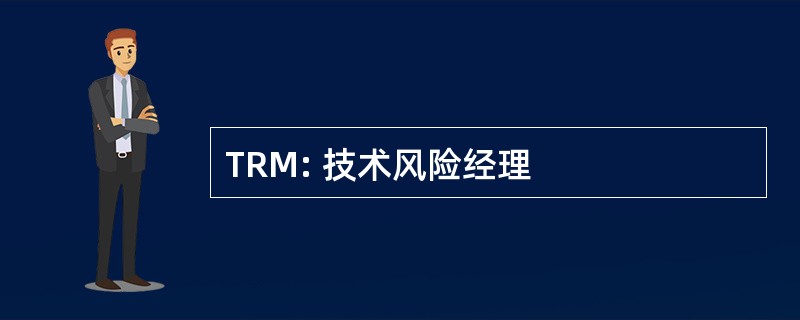 TRM: 技术风险经理