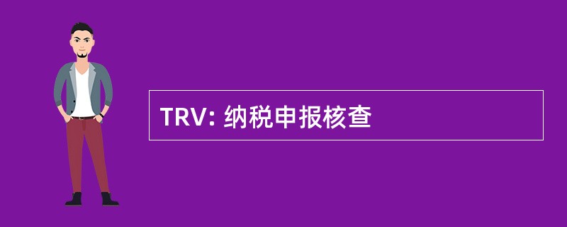 TRV: 纳税申报核查