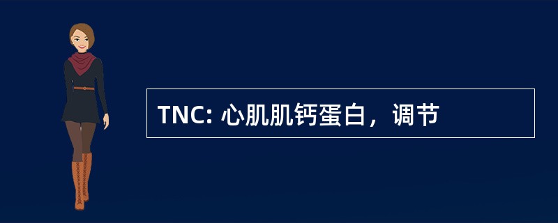 TNC: 心肌肌钙蛋白，调节