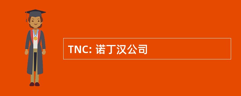 TNC: 诺丁汉公司