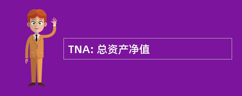 TNA: 总资产净值