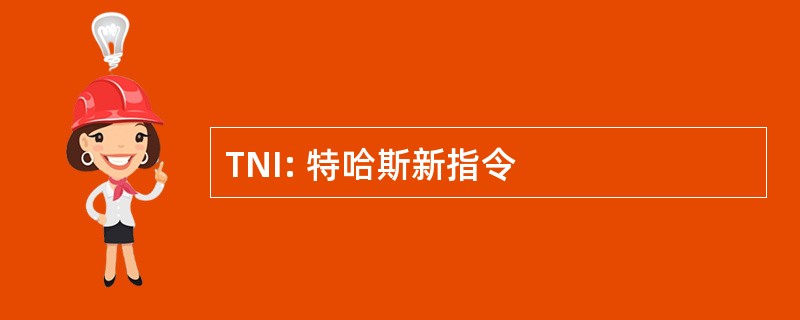 TNI: 特哈斯新指令