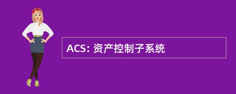 ACS: 资产控制子系统