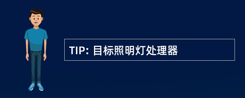 TIP: 目标照明灯处理器