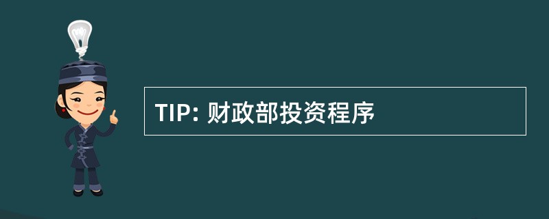 TIP: 财政部投资程序