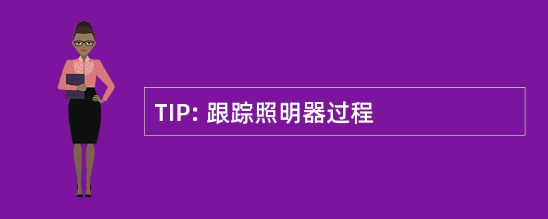 TIP: 跟踪照明器过程