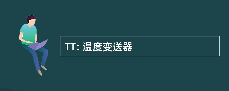 TT: 温度变送器