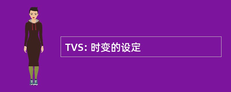 TVS: 时变的设定