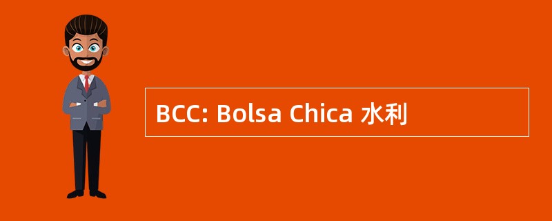 BCC: Bolsa Chica 水利