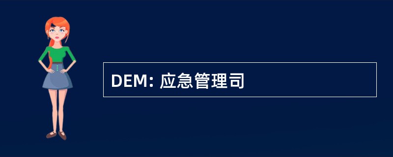 DEM: 应急管理司