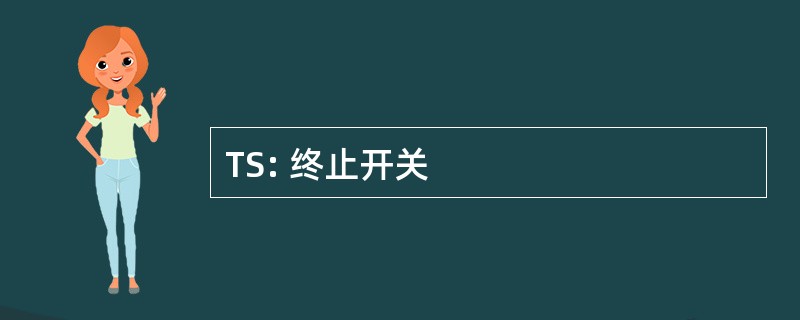 TS: 终止开关