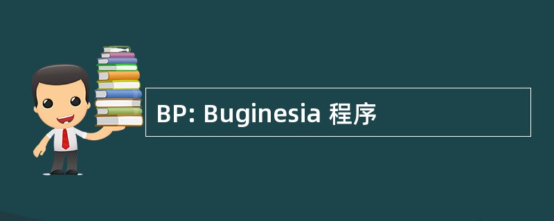 BP: Buginesia 程序