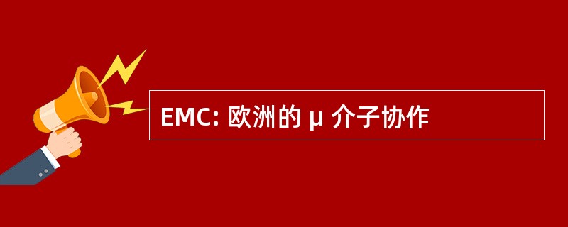 EMC: 欧洲的 μ 介子协作