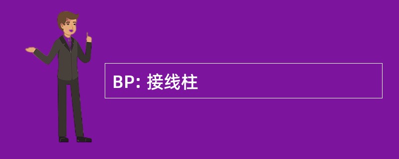 BP: 接线柱