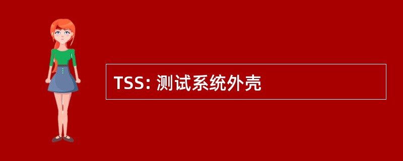 TSS: 测试系统外壳