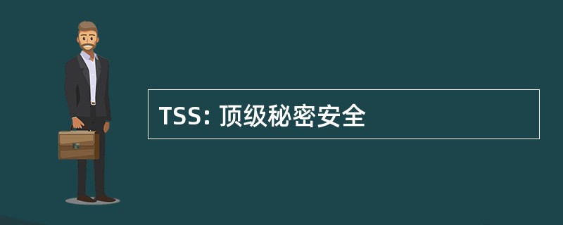 TSS: 顶级秘密安全