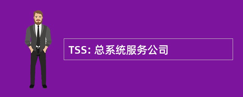 TSS: 总系统服务公司