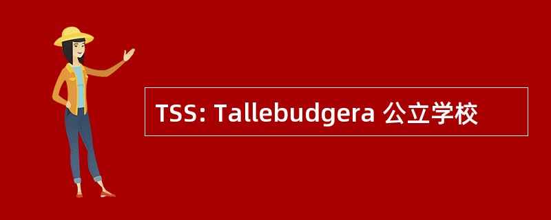 TSS: Tallebudgera 公立学校