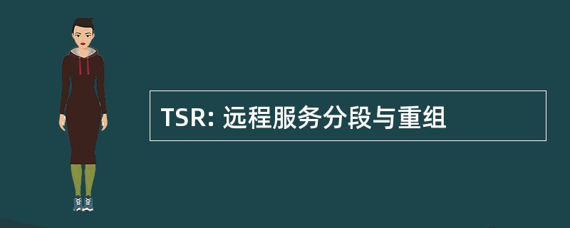 TSR: 远程服务分段与重组