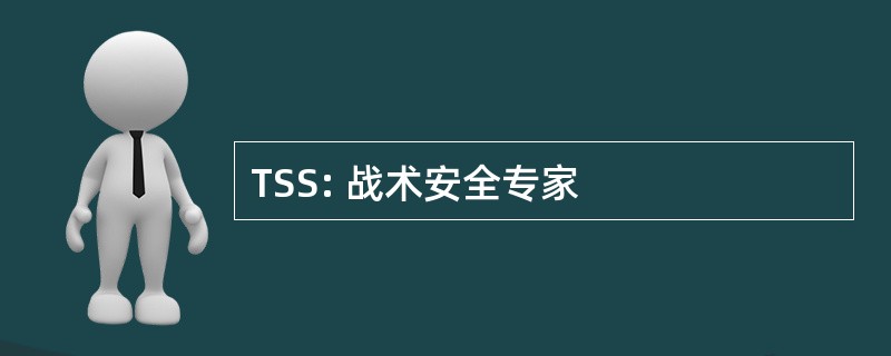 TSS: 战术安全专家