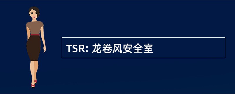 TSR: 龙卷风安全室