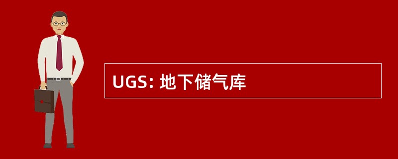 UGS: 地下储气库