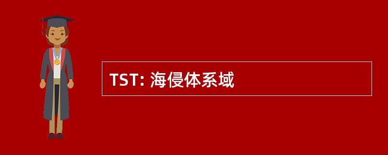 TST: 海侵体系域