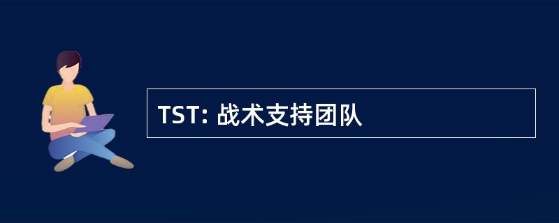 TST: 战术支持团队