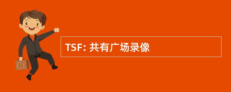 TSF: 共有广场录像