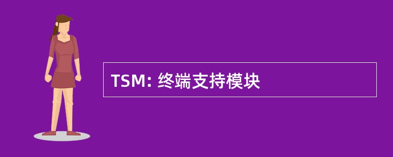 TSM: 终端支持模块