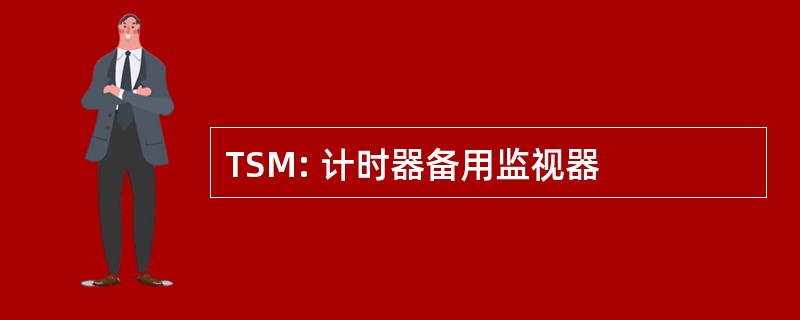 TSM: 计时器备用监视器