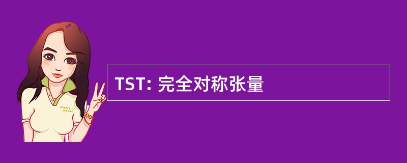 TST: 完全对称张量