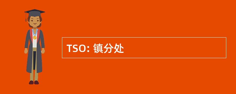 TSO: 镇分处