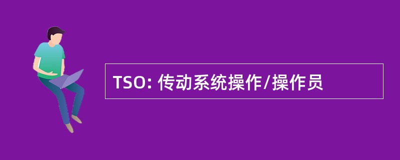 TSO: 传动系统操作/操作员