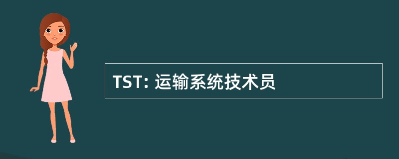 TST: 运输系统技术员