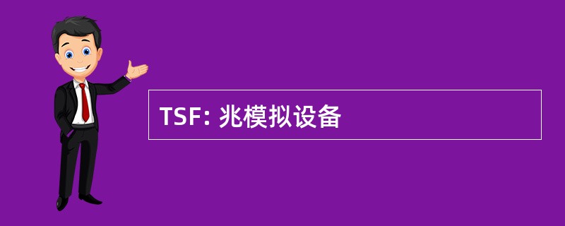 TSF: 兆模拟设备