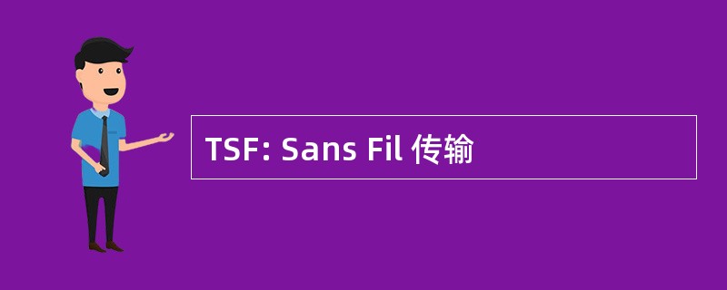 TSF: Sans Fil 传输