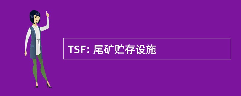 TSF: 尾矿贮存设施