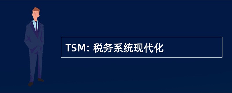 TSM: 税务系统现代化