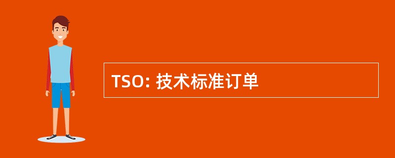 TSO: 技术标准订单