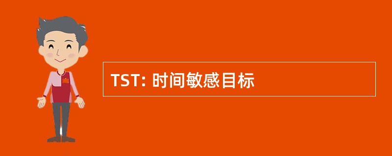 TST: 时间敏感目标