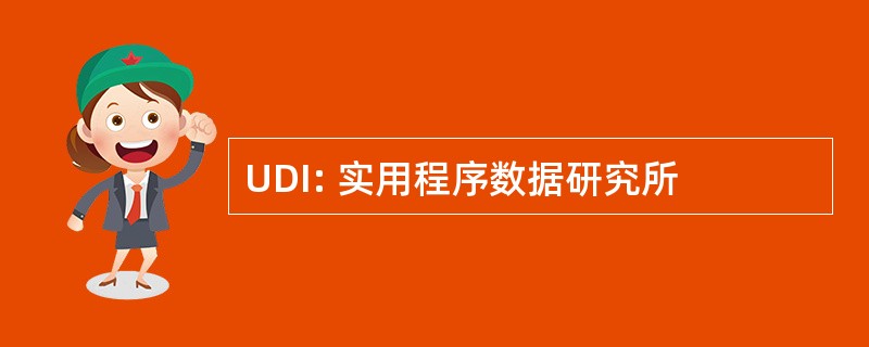 UDI: 实用程序数据研究所