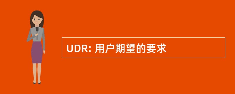 UDR: 用户期望的要求