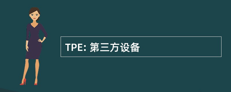 TPE: 第三方设备