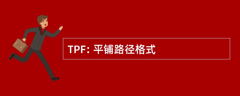 TPF: 平铺路径格式