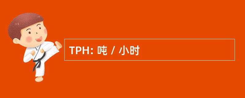 TPH: 吨 / 小时