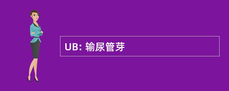 UB: 输尿管芽