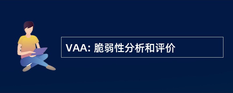 VAA: 脆弱性分析和评价