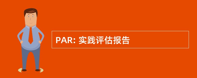 PAR: 实践评估报告