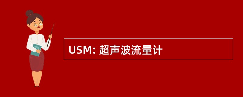 USM: 超声波流量计